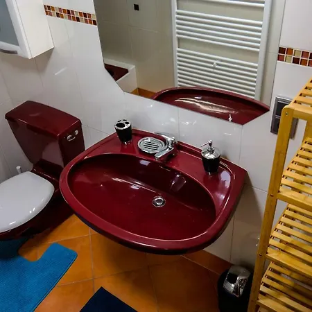 Apartment F.w. Dachsteingasse Schladming