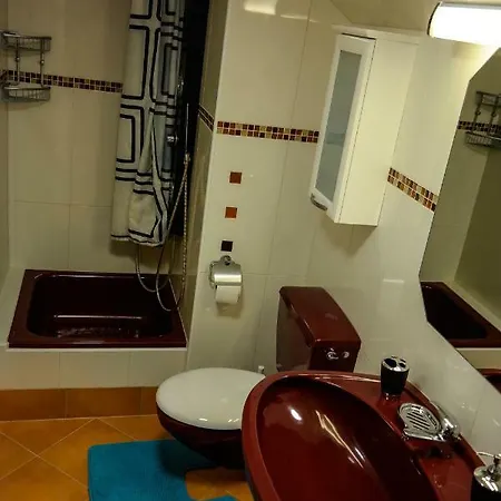 Apartment F.w. Dachsteingasse *